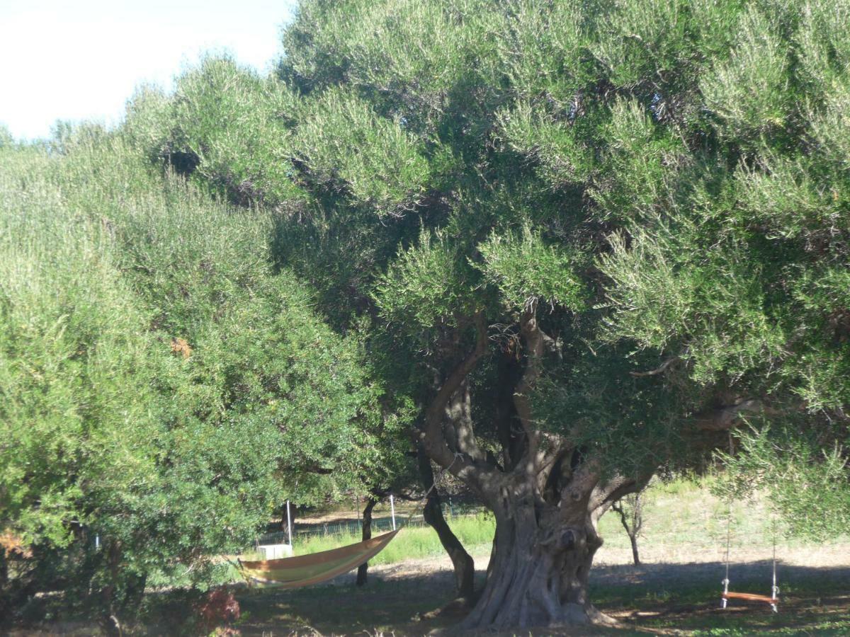 Agriturismo Gli Olivastri Appartamento Corbezzolo Con Piscina E Vista Mare,Climatizzatore,Wifi Aglientu Eksteriør bilde